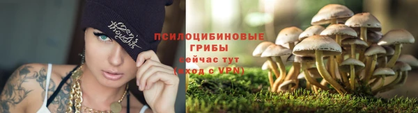 спайс Армянск