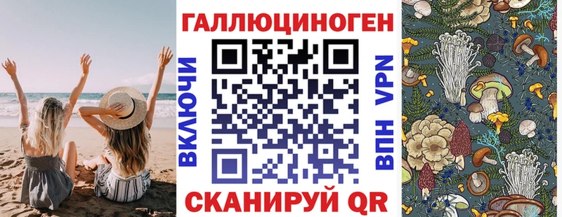 продажа наркотиков  Новоалтайск  Галлюциногенные грибы Psilocybe 